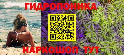 PSILOCYBIN Новозыбков