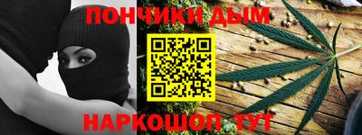 шишки Новодвинск