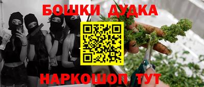 шишки Новодвинск