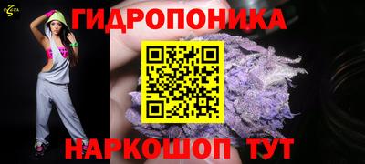 шишки Новодвинск