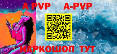 шишки Новодвинск